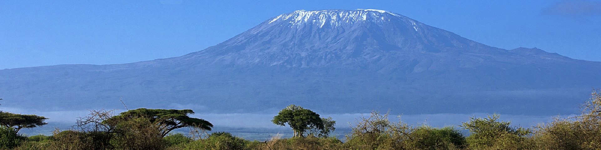 Der Kilimanjaro